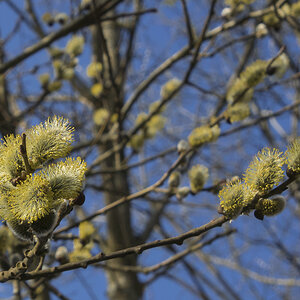 spring 0170