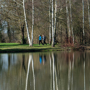 Schwetzingen spiegelung 1