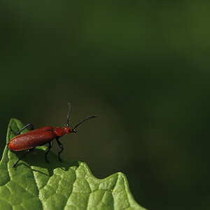 20160505 151418 1