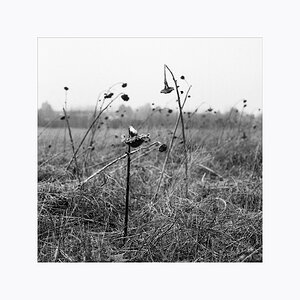 f51519600r2ktrix400