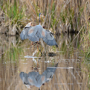 DSC 1508 Wasser