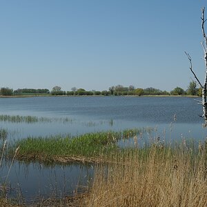 DSC 4599a
