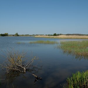 DSC 4665a