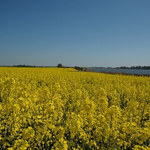 DSC 5033a