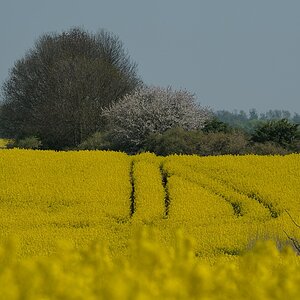 DSC 5048a