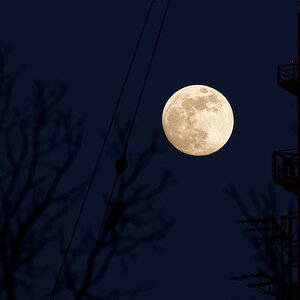 Mond 20162004a