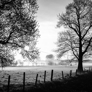 Early Morning DSCF0184