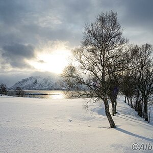 20160214 DSC07348 Kopie