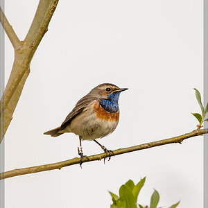 20160423 3565 [NIKON D4] 700 mm,1 1600 Sek. bei ƒ   7,1