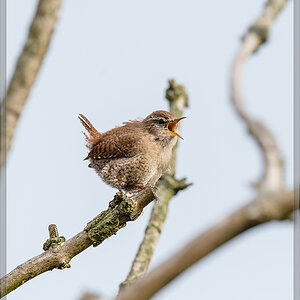 20160423 3664 [NIKON D4] 700 mm,1 1600 Sek. bei ƒ   7,1