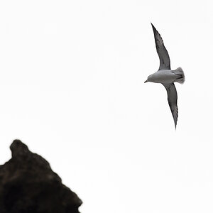 Landeanflug 20160227 111031 island 2016 2