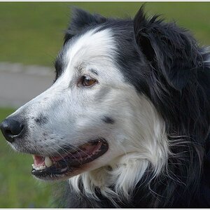 DSC 0596