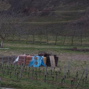 Detail Fokus Rechts hinten