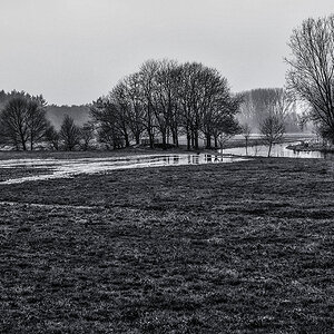 Niers Wiesen 2