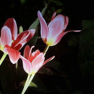 KR 540kDSC 7309 1 2 2