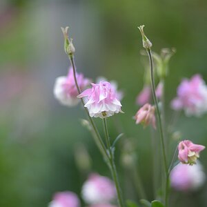 KR 540kDSC 9466
