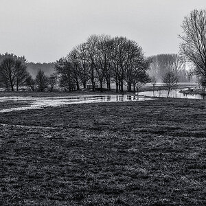Niers Wiesen 3