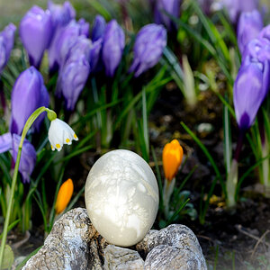 Osterfrühling