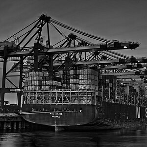 TS6 2356 DxO k v MSC Katie