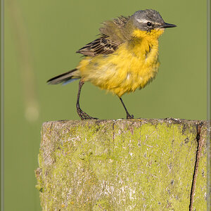 20160605 4922 [NIKON D500] 700 mm,1 640 Sek. bei ƒ   6,3