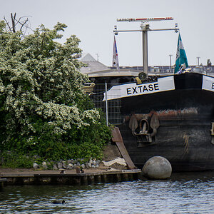 DSC7064