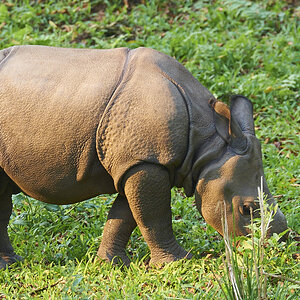 Nepal18 03 16–0059