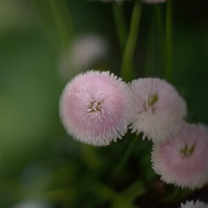 KR 540kDSC 9612