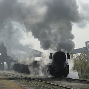 Dubrove 33 504
5036  1