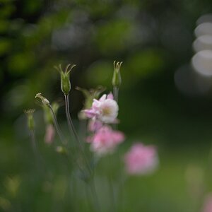 KR 540kDSC 9602