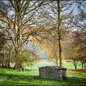 Am Anfang des Regenbogens