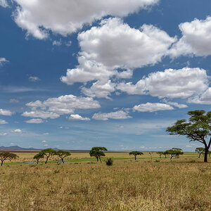 tansania tarangire landschaft 1