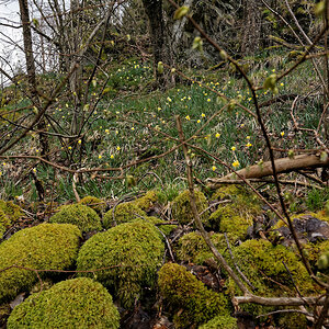 DSC 3796 NSG Perlenbachtal