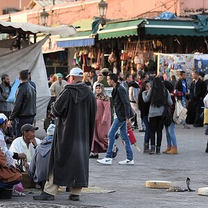 s076 Marrakech Schlangen 9888