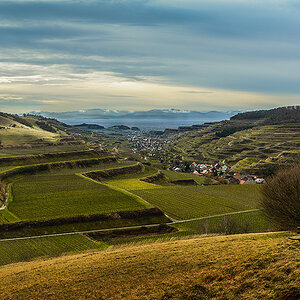 14 02 06 2696 badberg v ohrenberg
