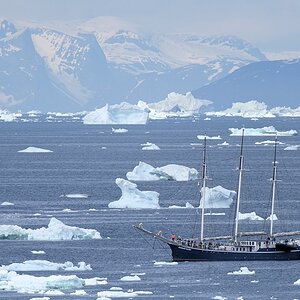 Ilulissat Rembrandt 5594
