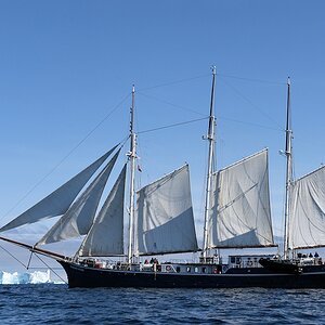 Rembrandt 8873