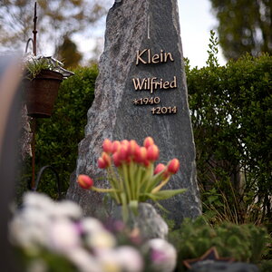 Klein Wilfried