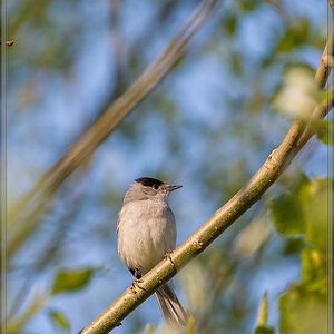 20160501 2220 [NIKON D810] 500 mm,1 160 Sek. bei ƒ   5,6