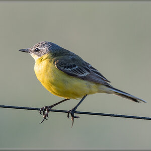 20160605 4638 [NIKON D500] 500 mm,1 400 Sek. bei ƒ   6,3