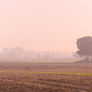 Landschaft im Nebel 1