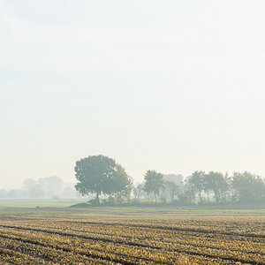Landschaft im Nebel 2
