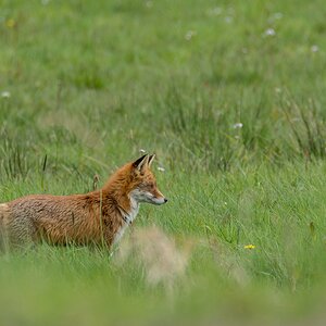 comp 20160430 DSC 4243 2