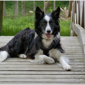 DSC 1324