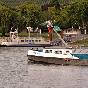 DSC 0521xl