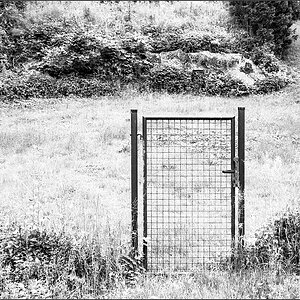 cR160623 005 1