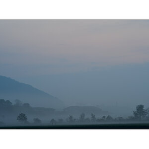 MorgenPZ1 3895