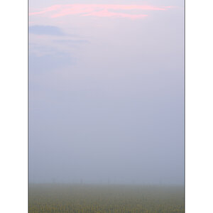 MorgenPZ1 3896