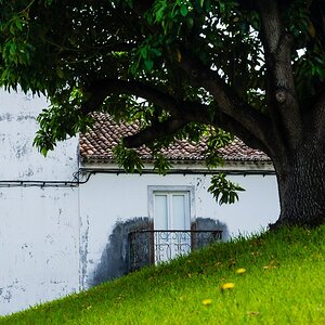 DSC2725