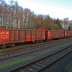 DSC 0353xl