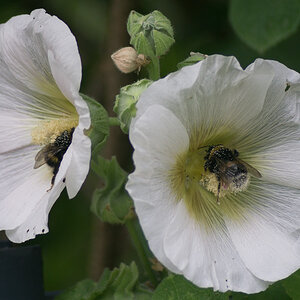 unbenannt 7 2